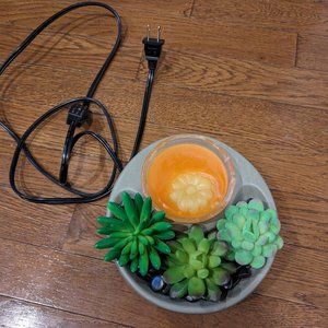 Wax warmer melting plant